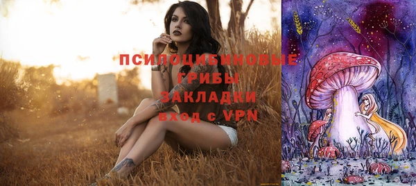 ALPHA-PVP Покровск
