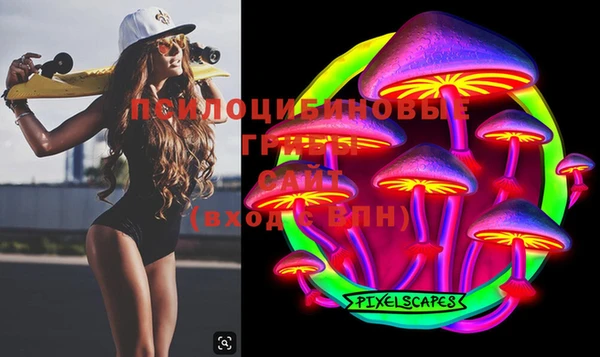 PSILOCYBIN Абдулино