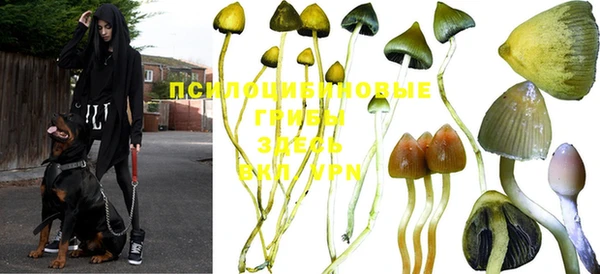 бошки Покров